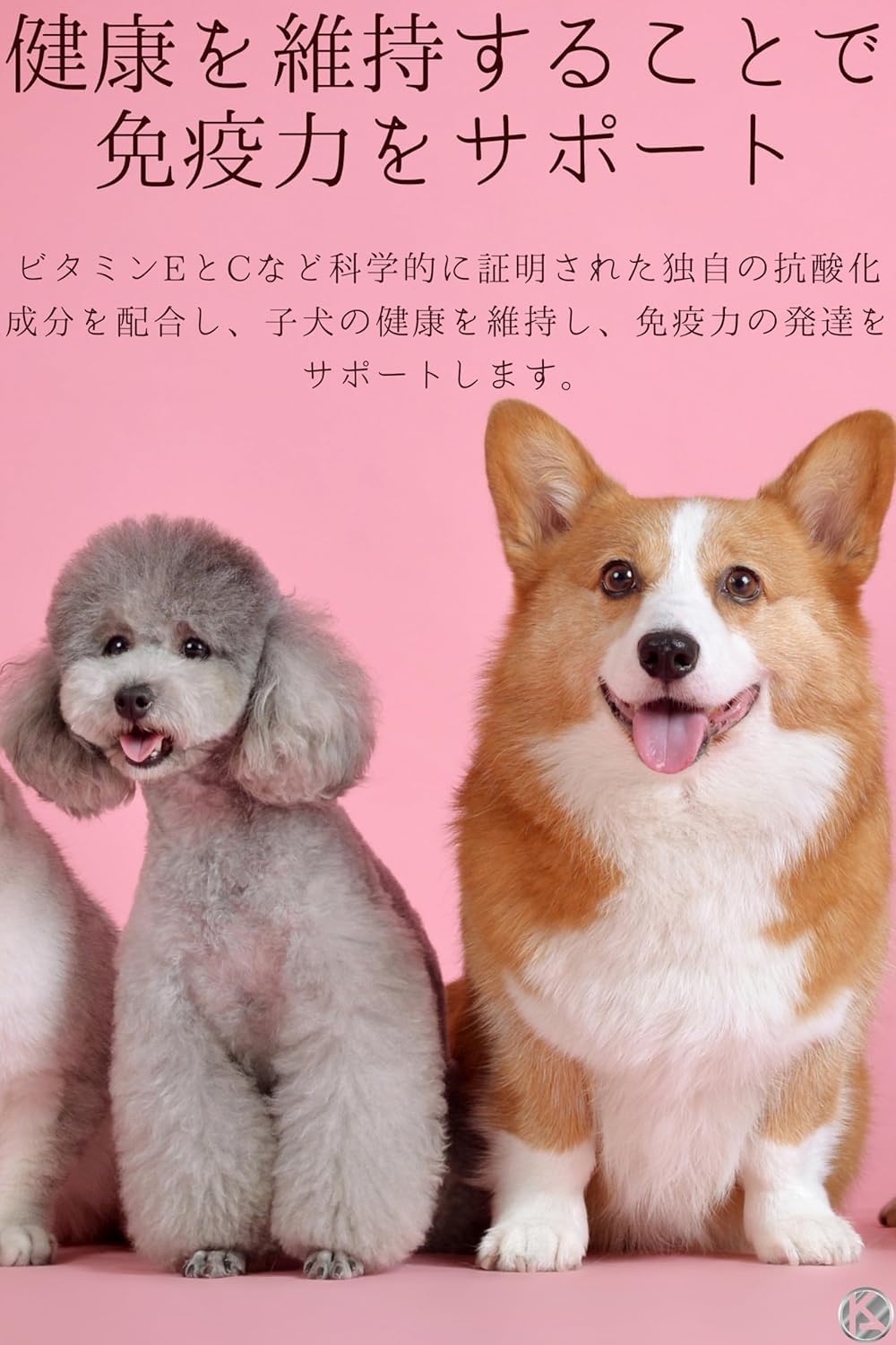 Amazon.co.jp: 【 800g 2袋 】 ミニ インドア パピー ロイカナ